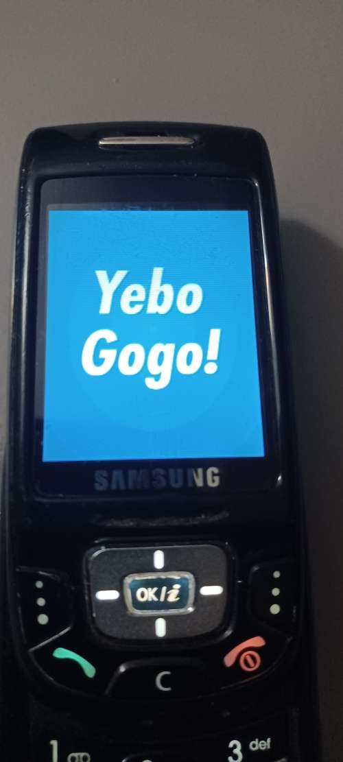 ###vintage Samsung SGH-D500 slide cellphone###