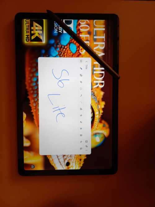 Samsung Tab S6 Lite P615 LTE and Wifi