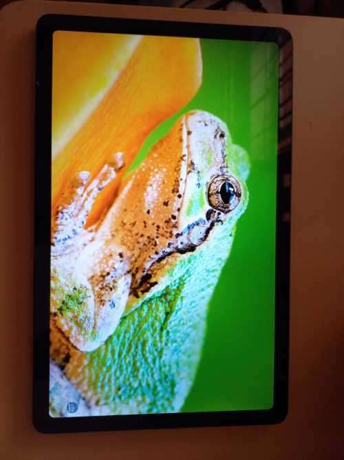 Samsung Tab S6 Lite P615 LTE and Wifi