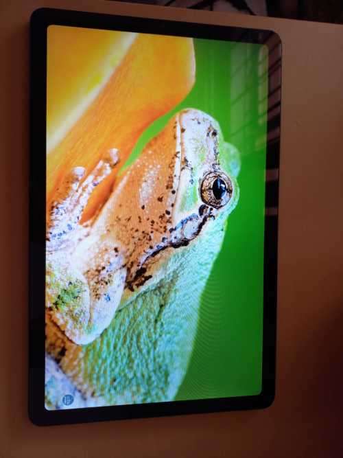 Samsung Tab S6 Lite P615 LTE and Wifi