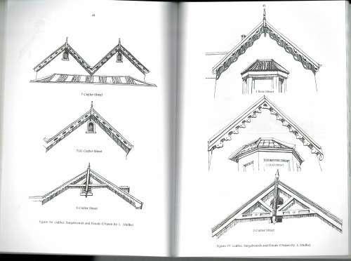 Towards a Sustainable Conservation Plan for Central Port Elizabeth