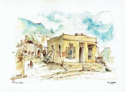 Tony Grogan`s Vanishing Cape Town