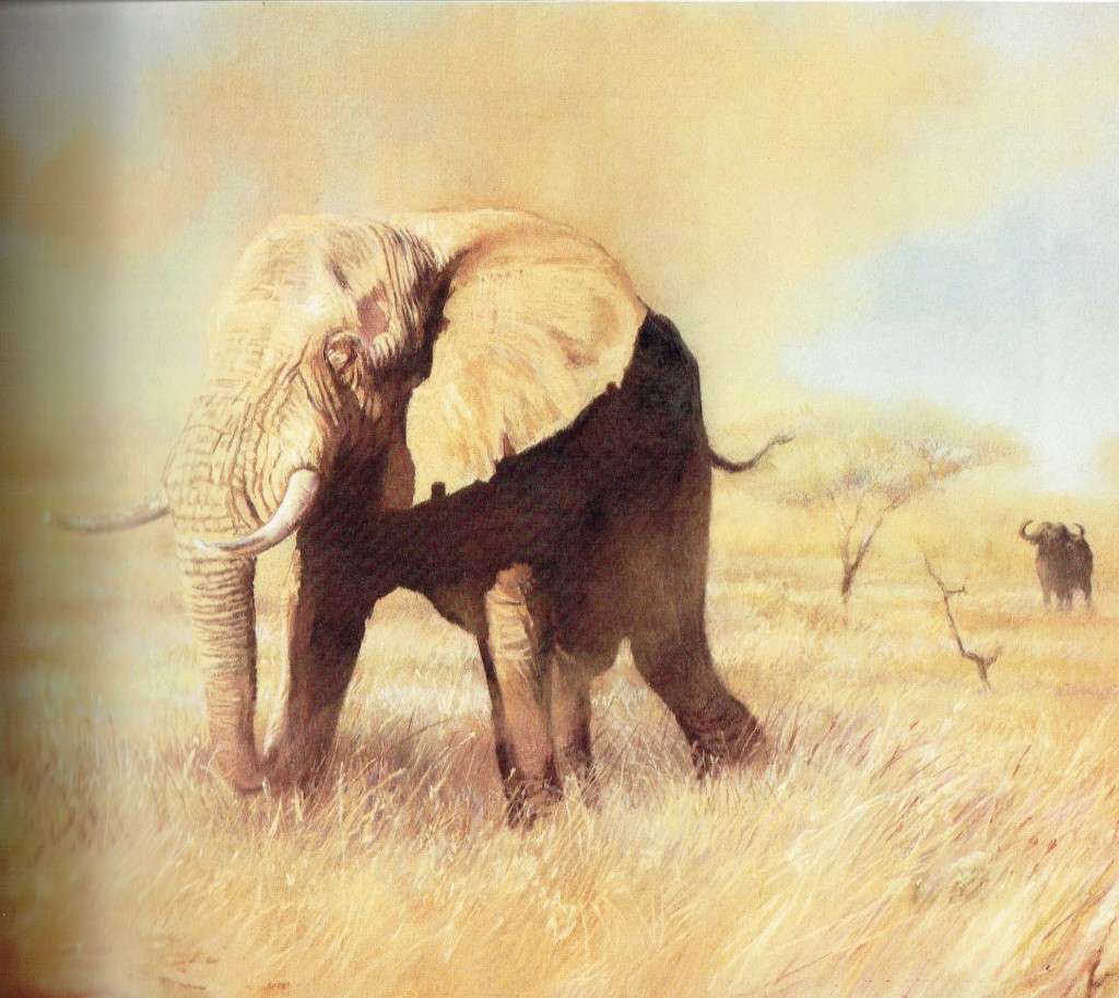 Paul Bosman and Anthony Hall-Martin, Elephants of Africa