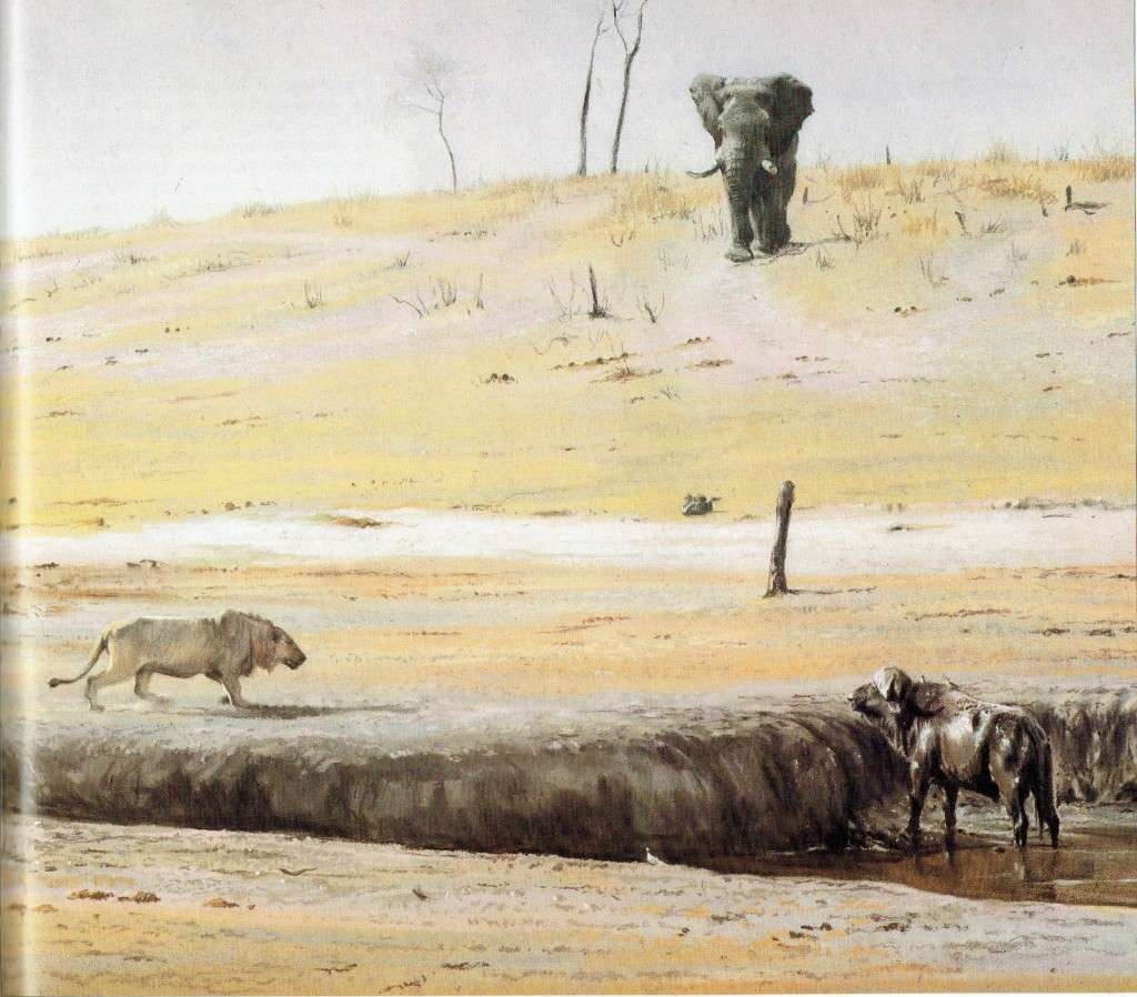 Paul Bosman and Anthony Hall-Martin, Elephants of Africa