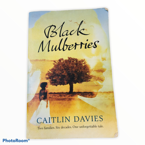 Black Mulberries by Caitlin Davis