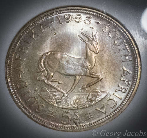 1953 5 Shillings NGC Proof-like 66 Stunning Coin Start @R1 !!