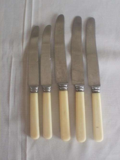 FIVE BONE HANDLE KNIFES