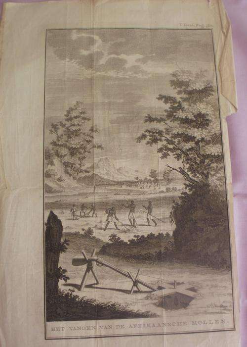 "HET VANGEN VAN DE AFRIKAANSCHE MOLLEN " PICTURE
