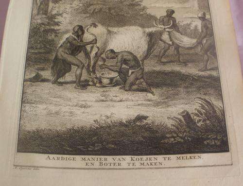 "AARDIGE MANIER VAN KOEJEN TE MELKEN EN BOTTER TE MAKEN" PICTURE