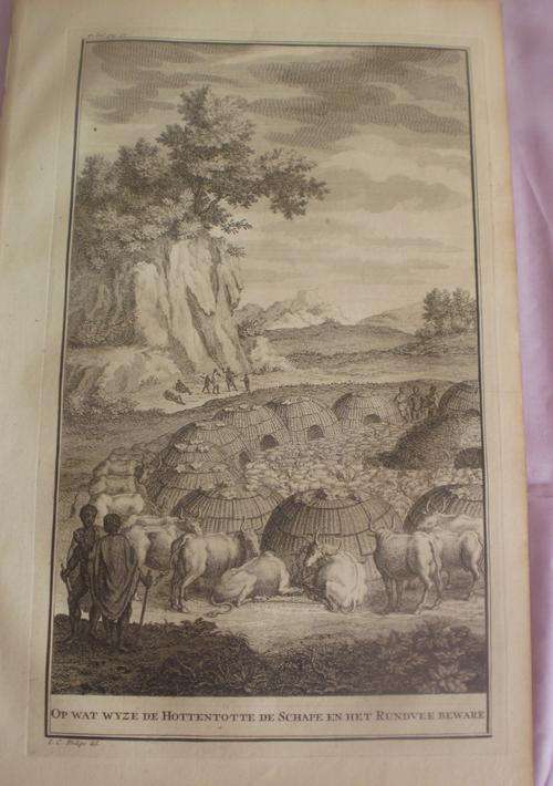 "OP WAT WYZE DE HOTTENTOTTEN DE SCHAPE EN HET RUNDVEE BEWARE" PICTURE