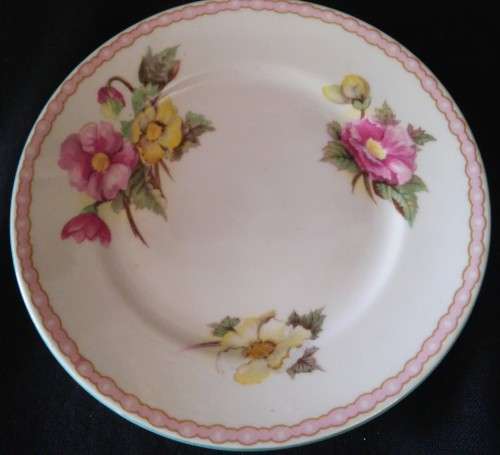 SHELLEY "BEGONIA" TRIO