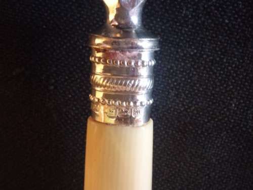 BONE HANDLE FRUIT SET WITH SILVER COLLARS