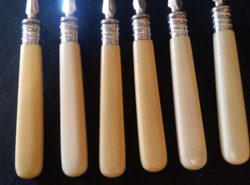 BONE HANDLE FRUIT SET WITH SILVER COLLARS