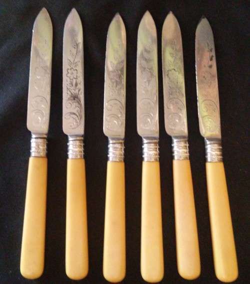 BONE HANDLE FRUIT SET WITH SILVER COLLARS