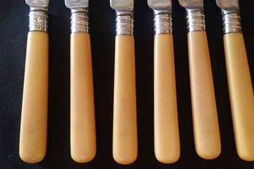 BONE HANDLE FRUIT SET WITH SILVER COLLARS