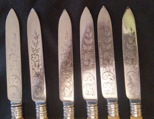 BONE HANDLE FRUIT SET WITH SILVER COLLARS