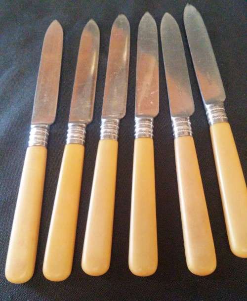 BONE HANDLE FRUIT SET WITH SILVER COLLARS