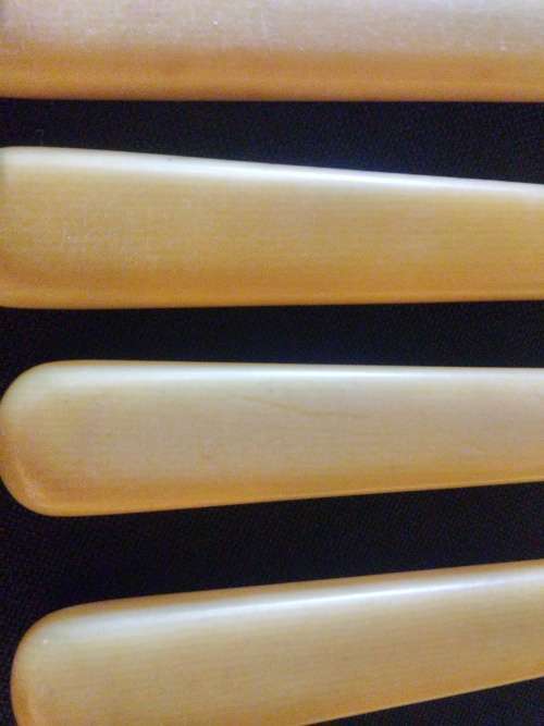 BONE HANDLE FRUIT SET WITH SILVER COLLARS