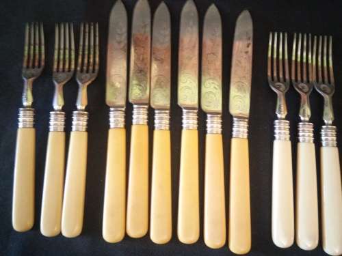 BONE HANDLE FRUIT SET WITH SILVER COLLARS