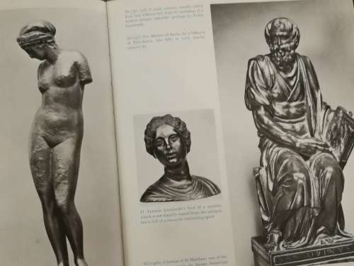 Book: Bronzes by Jennifer Montagu