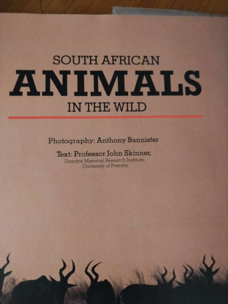 South African Animals in the wild