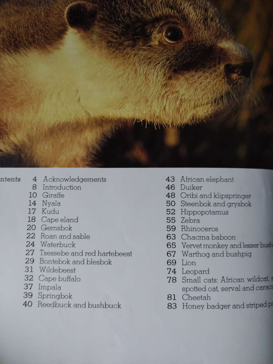 South African Animals in the wild