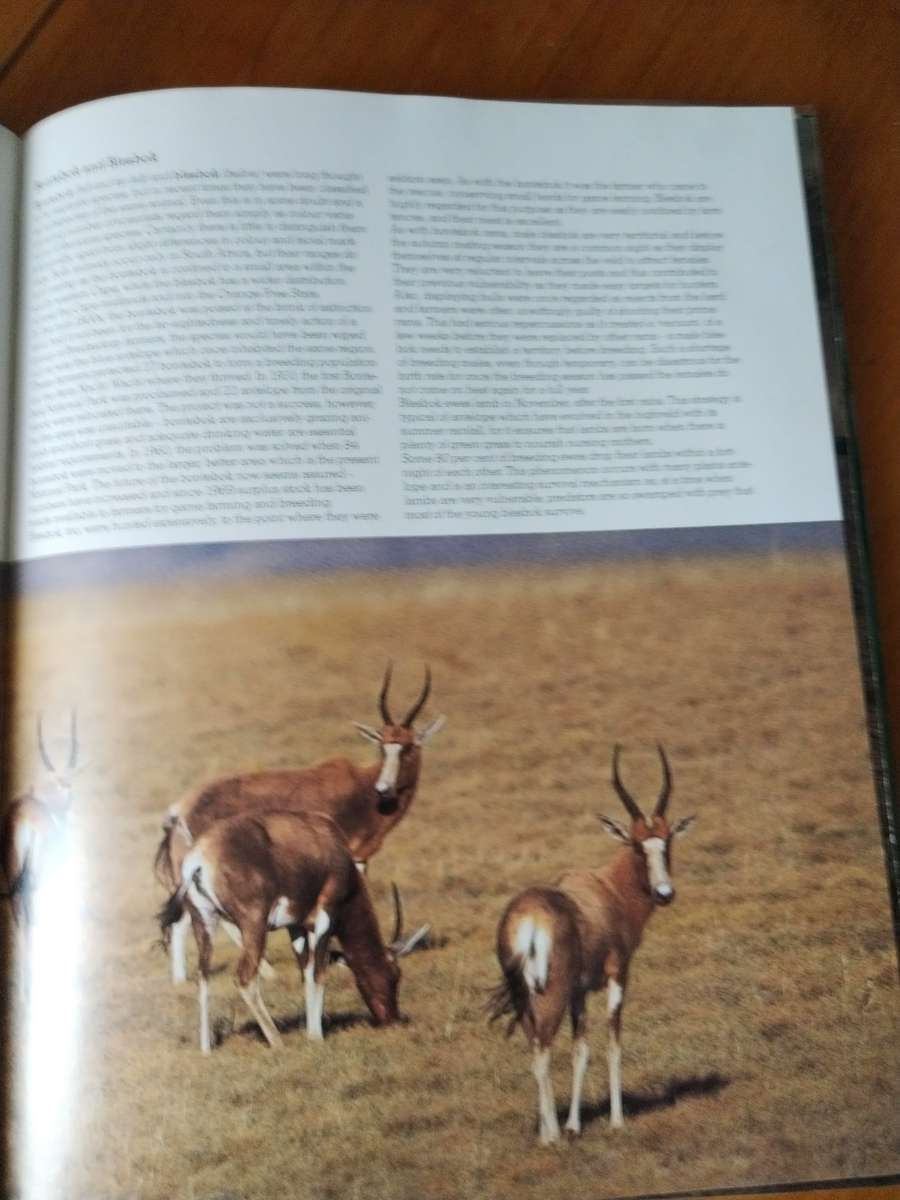 South African Animals in the wild