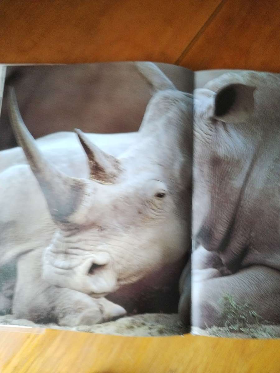 South African Animals in the wild