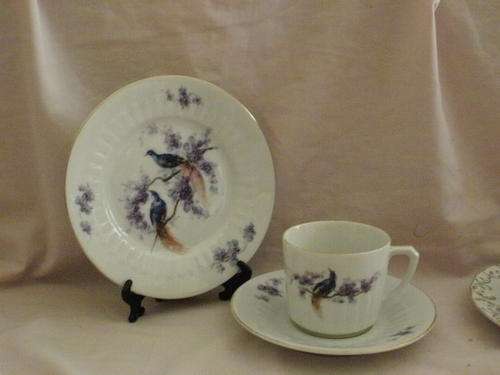 KOENIGSZELT SILESIA X1 TRIO (1)