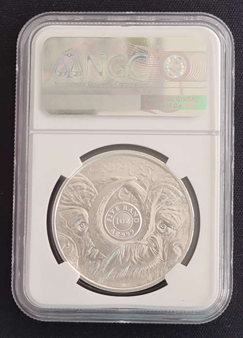 2021 BIG 5 BUFFALO SILVER R5 NGC MS70