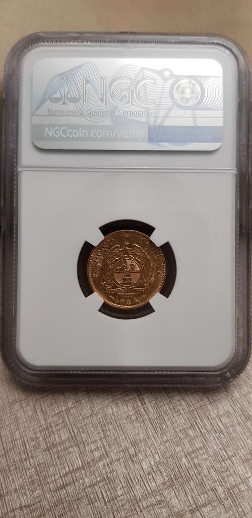 ###1895 NGC AU50 ZAR 1/2 Pond###Low start