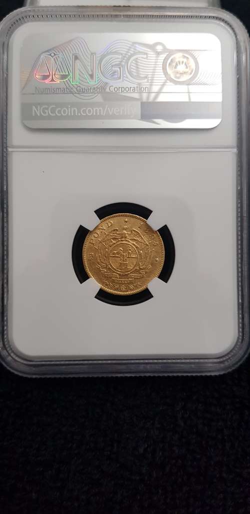 ###1894 AU50 NGC 1/2 Pond###Low Start