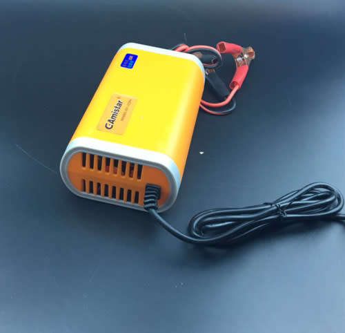 Intclligent 12V 20A Pulse Charger