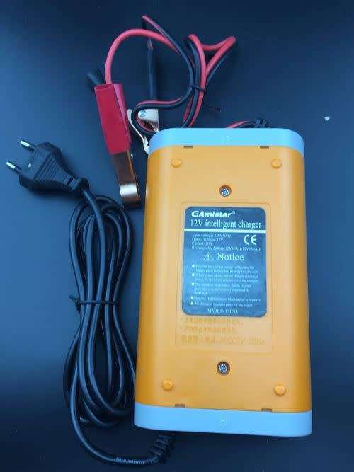 Intclligent 12V 20A Pulse Charger