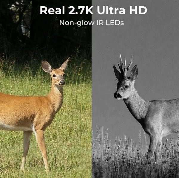 Rechargeable 4G Sim Card Hunting Trail Camera Ucon App
