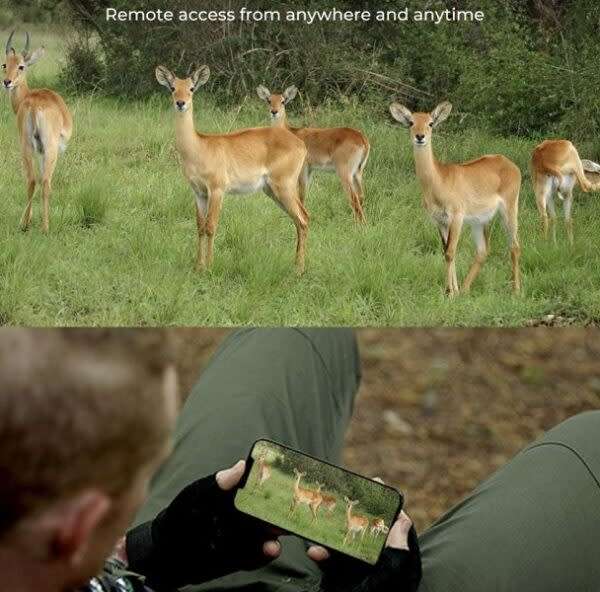 Rechargeable 4G Sim Card Hunting Trail Camera Ucon App