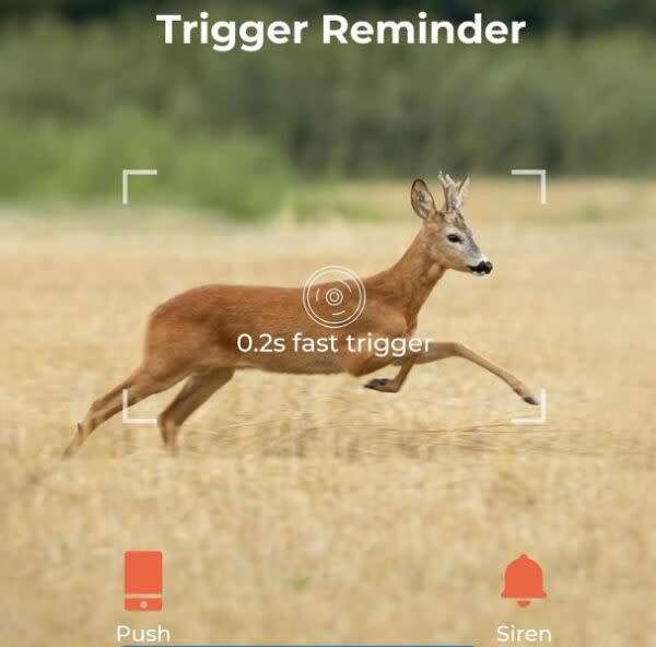 Rechargeable 4G Sim Card Hunting Trail Camera Ucon App