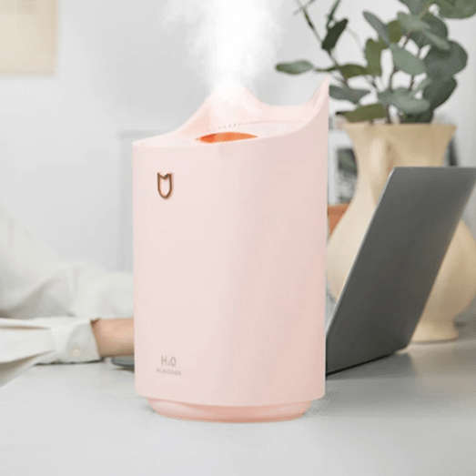 Usb Dual Nozzle Humidifier 2.3L