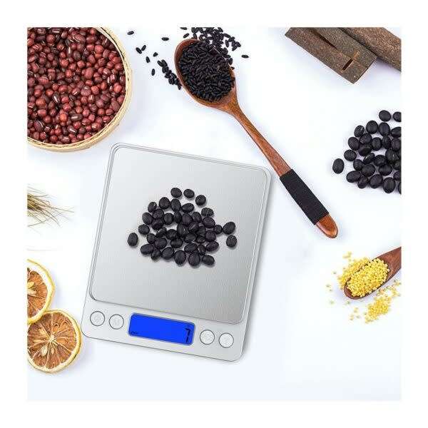 Digital Mini Precision Scale
