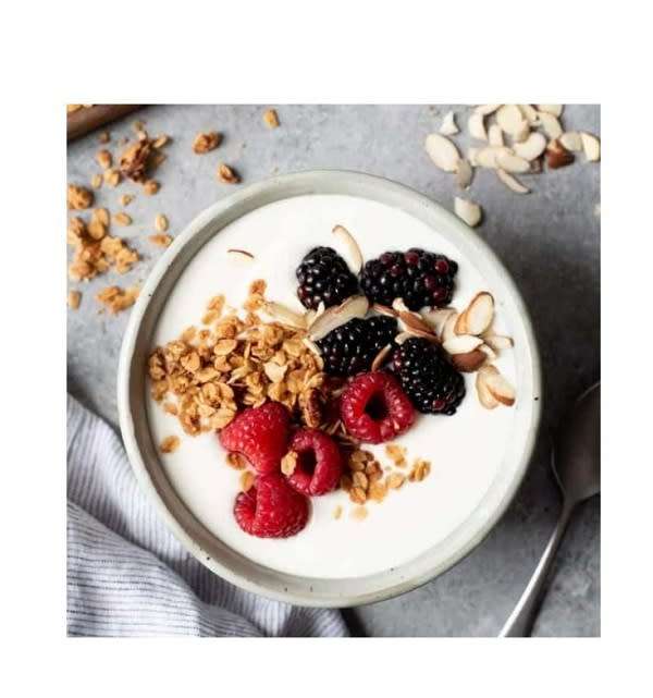 Fully Automatic Yogurt Machine