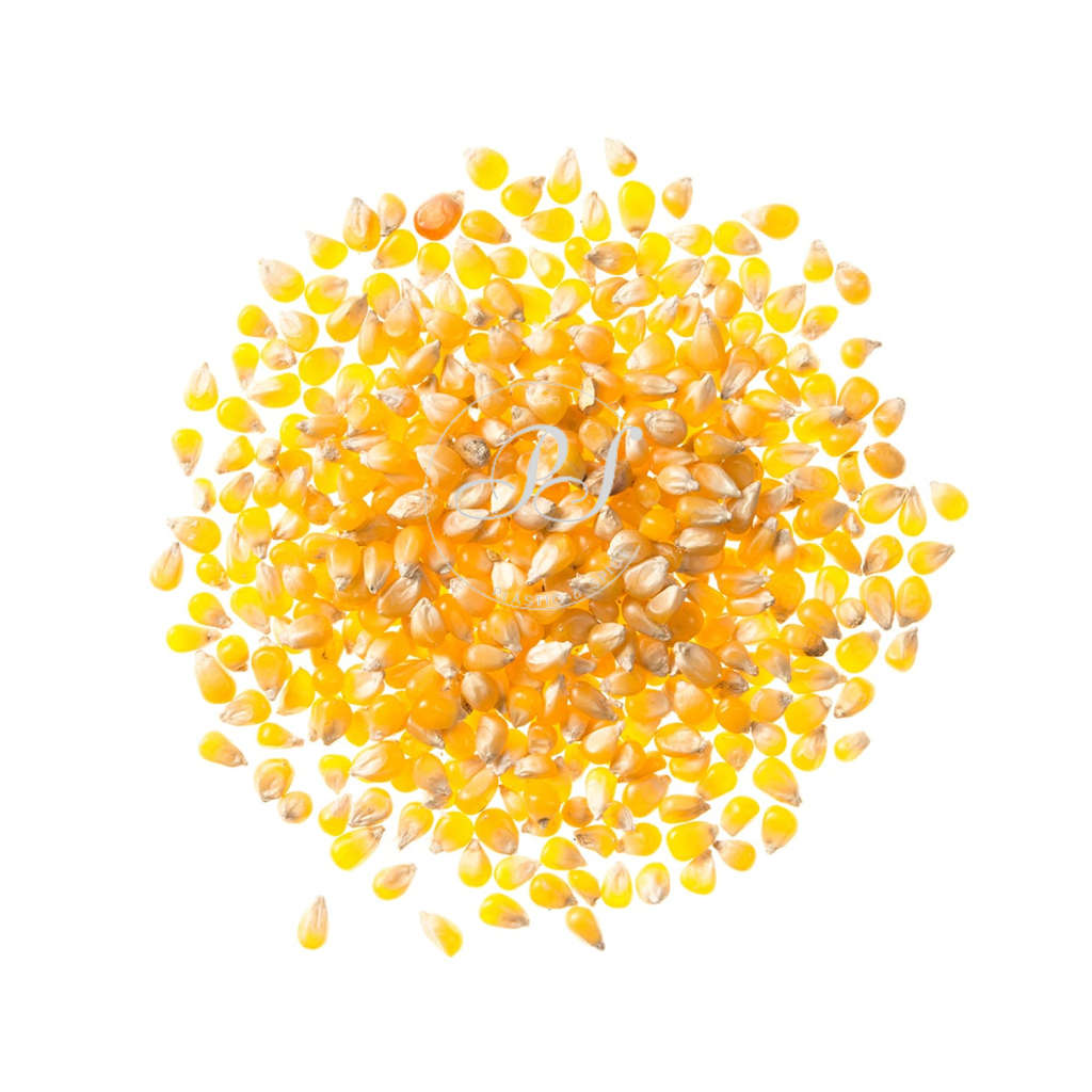 POPCORN SEEDS 1Kg