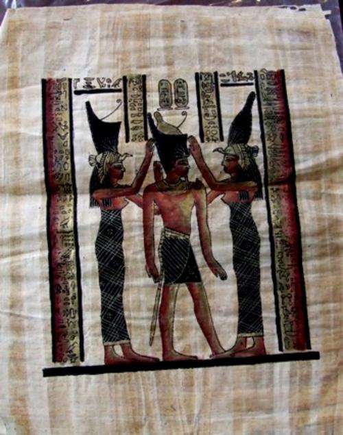Papyrus Planted Egyptian Print - FROM Egypt! R1 No Reserve