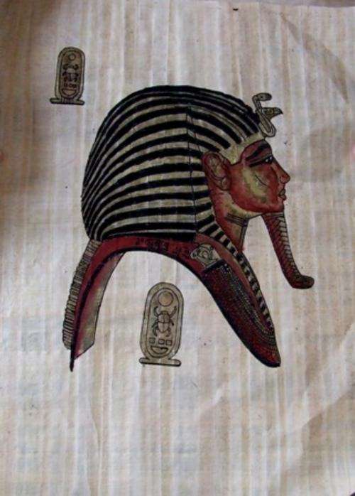 Papyrus Planted Egyptian Print - FROM Egypt! R1 No Reserve