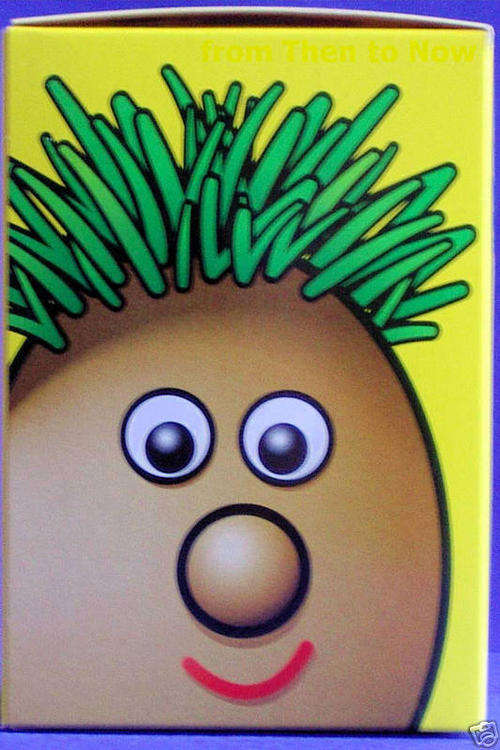 Brand NEW Grow your own Mr Grass Head - No Reserve Auction - Excellent Gift!
