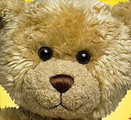 LARGE Bear works, Adopt a bear, Everything to make your own bear!