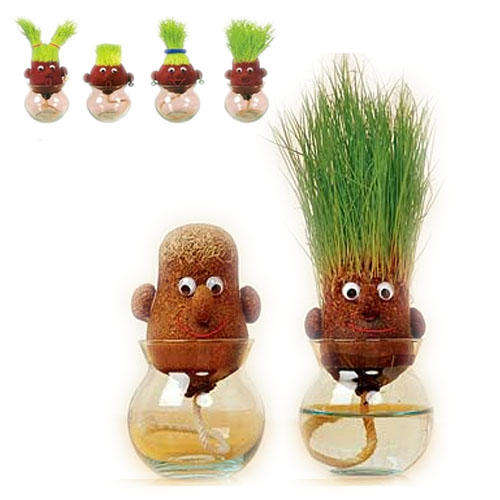 Brand NEW Grow your own Mr Grass Head - No Reserve Auction - Excellent Gift!