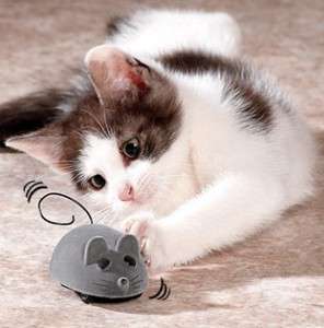 Cool Gift, Remote control Mice!!! Chase the cat with this! - R1 NO Reserve Auction !
