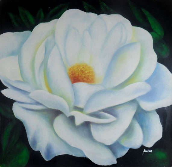 Hand-painted Canvas Signed Oil Painting 60cmx60cm White Roses Flowers FB04