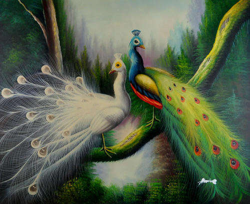 Signed Canvas Handmade Oil Painting 24"x20" Animals Birds Peacock d24