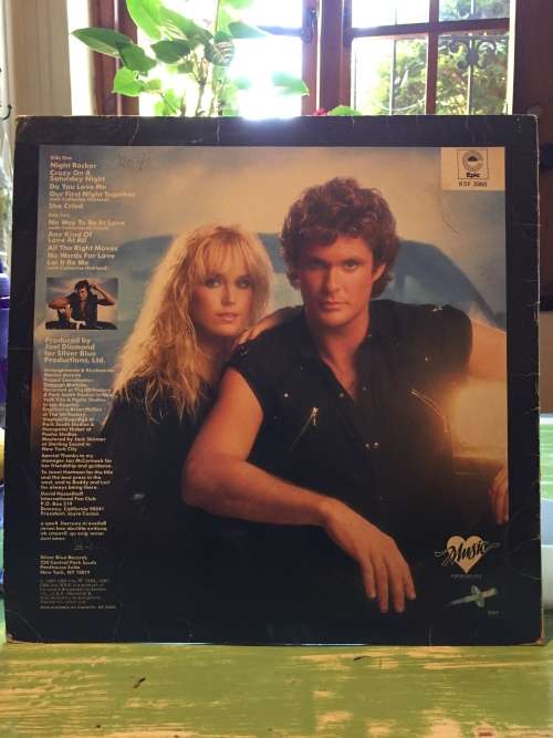 David Hasselhoff, Original Signed Vinyl/LP Night Rocker